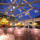 Clear Top Marquee Tent for Wedding