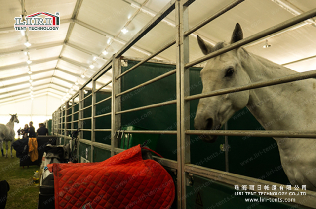Horse Training Canopy 2