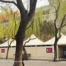 Professional Temporary Restrooms: Versatile Utility High-Peak Marquee